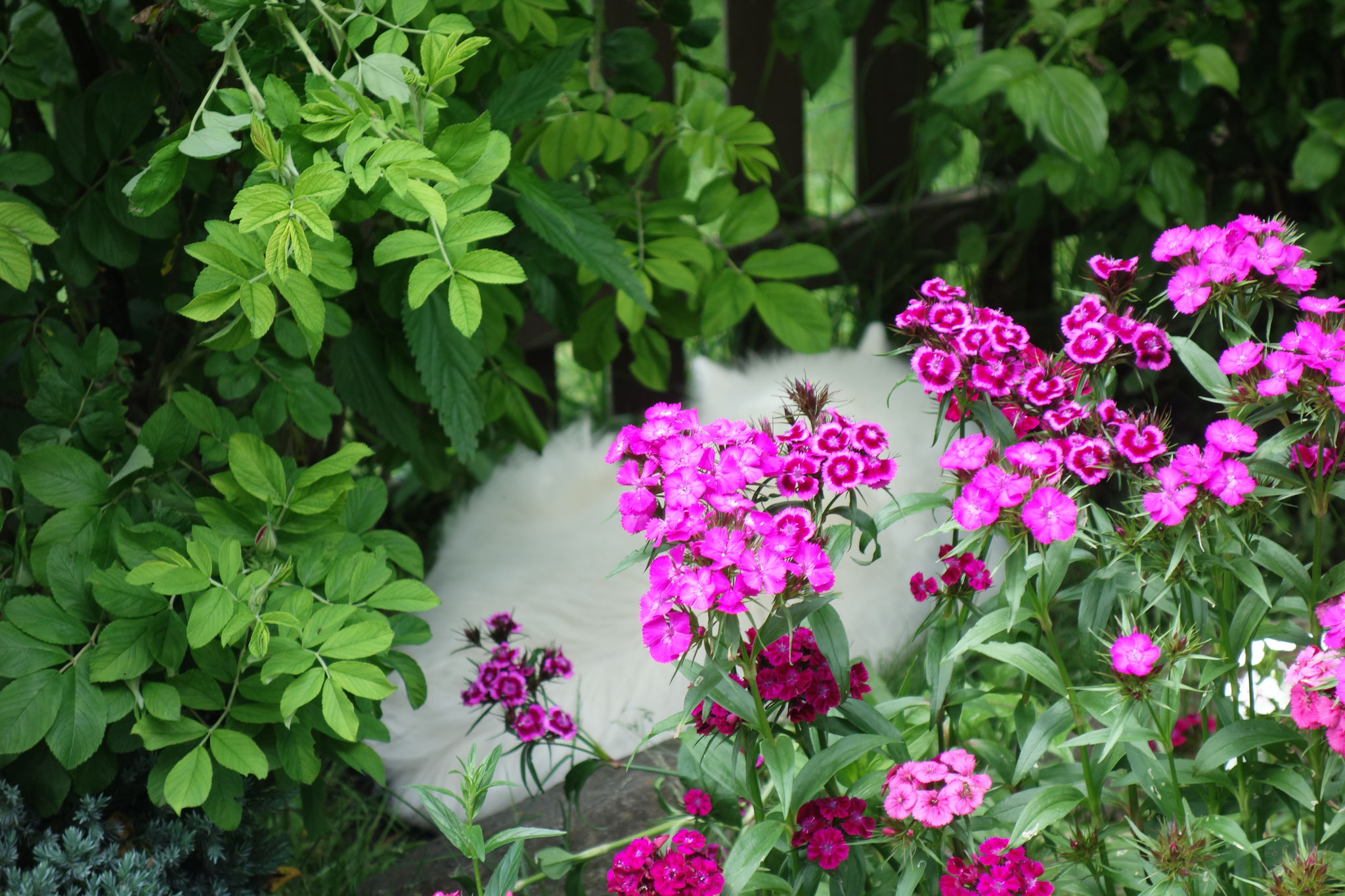 oh, dahinter hat sich auch jemand versteckt..