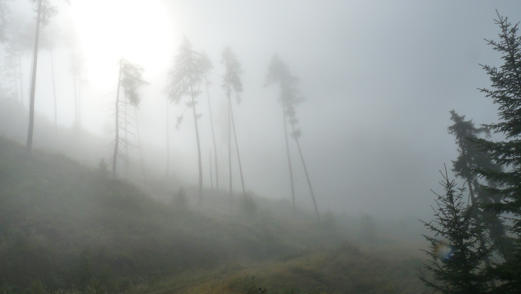 dann sind wir wieder ein Stück weit im Nebel