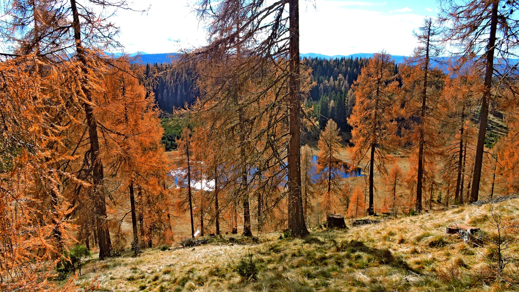 einfach nur genießen, dieses wunderbare blaue Auge