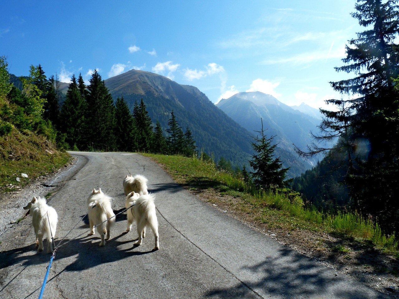 auf der Asphaltstraße zum unteren Rotgüldensee