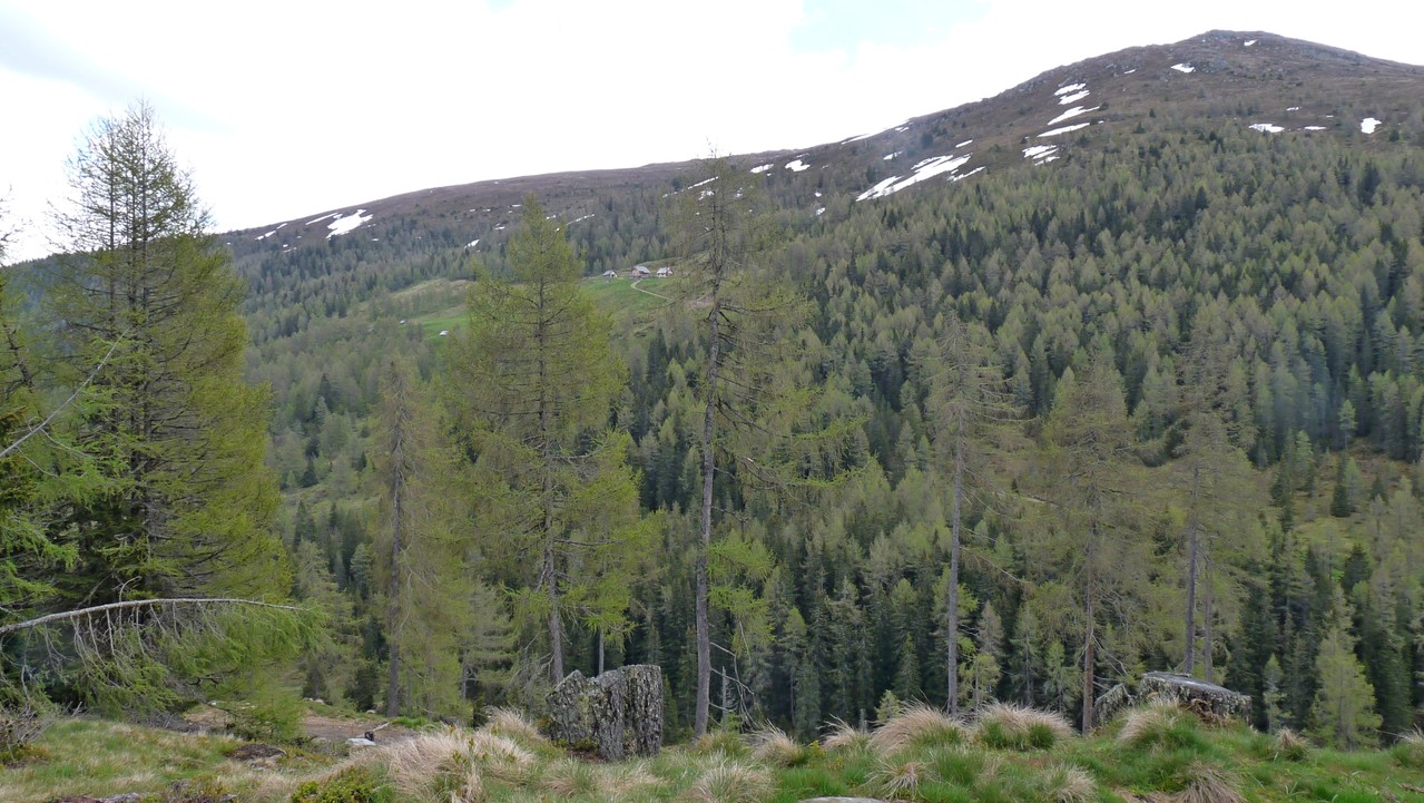 dort drüben waren wir eben noch und wanderten von ganz oben zur Lausnitzhütte