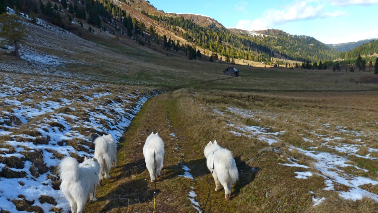 und schon sind die Schatten wieder größer