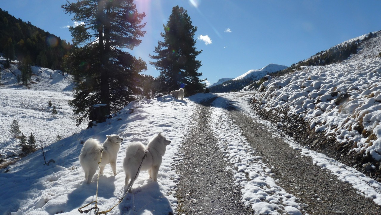 auf dem Weg zur Mehrlhütte