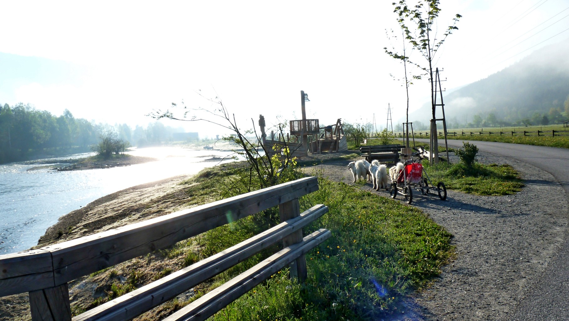 und ohne Kommando biegen sie links ab zum Murstrand