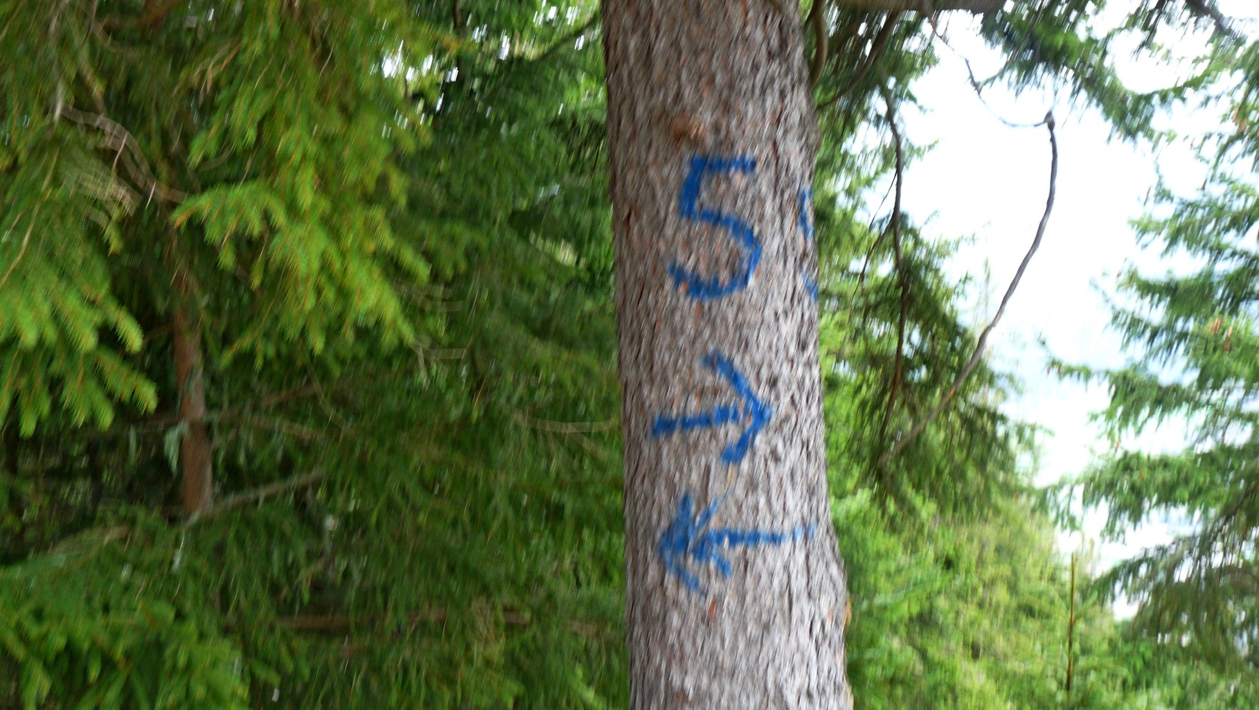 wir befinden uns auf dem Wanderweg Nr. 5 :-)