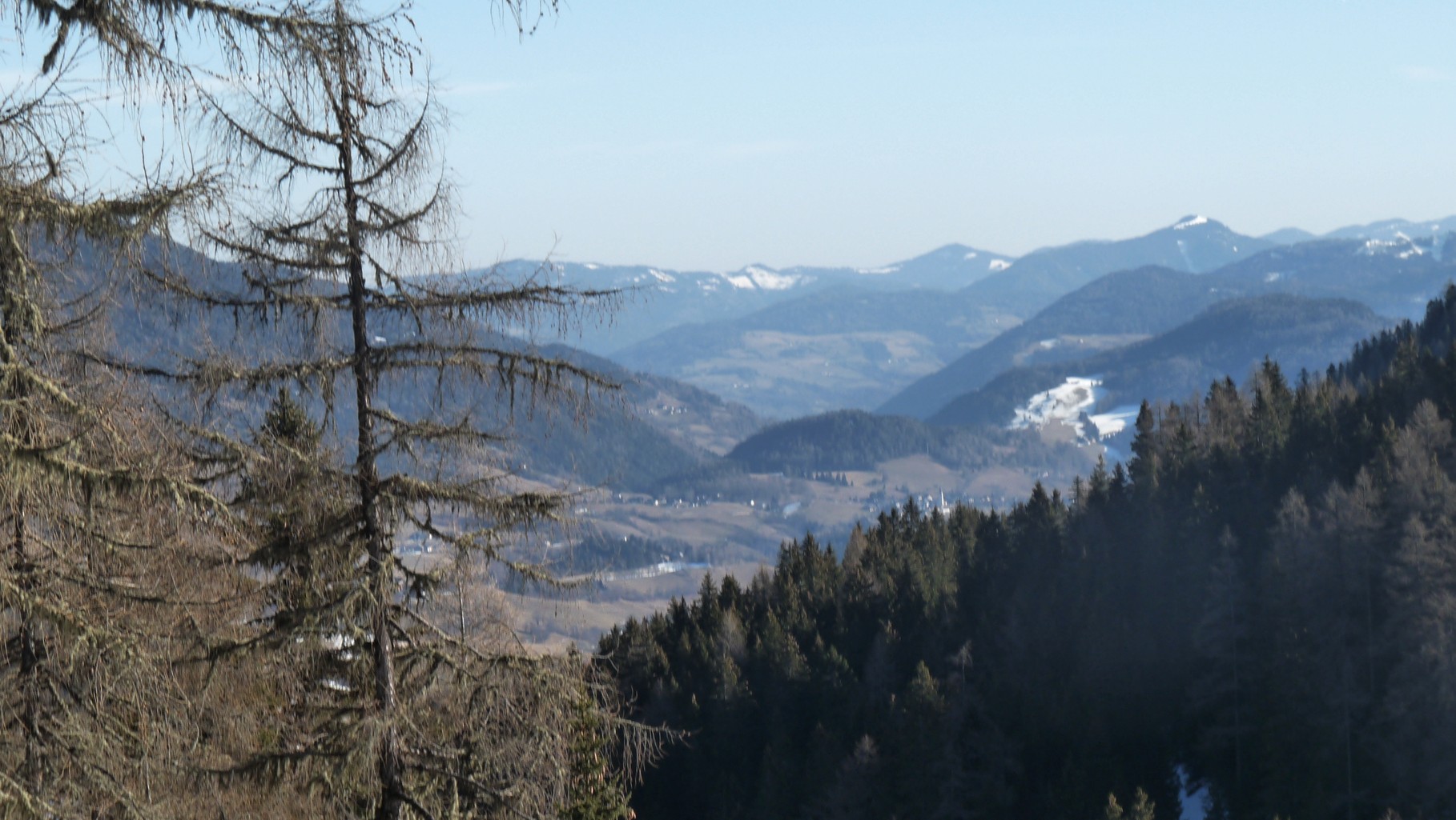 auch in der Steiermark ist der Winter grün