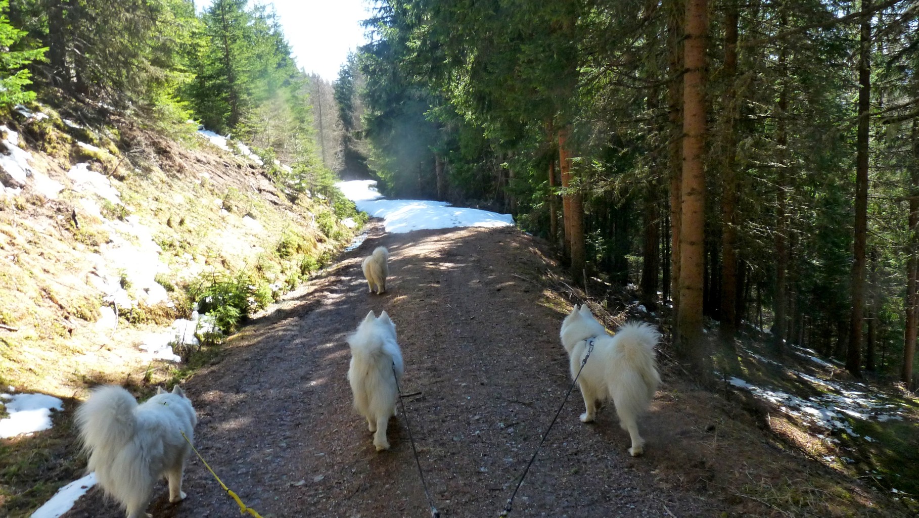 mal aper, mal Schnee, sehr abwechslungsreich :-)