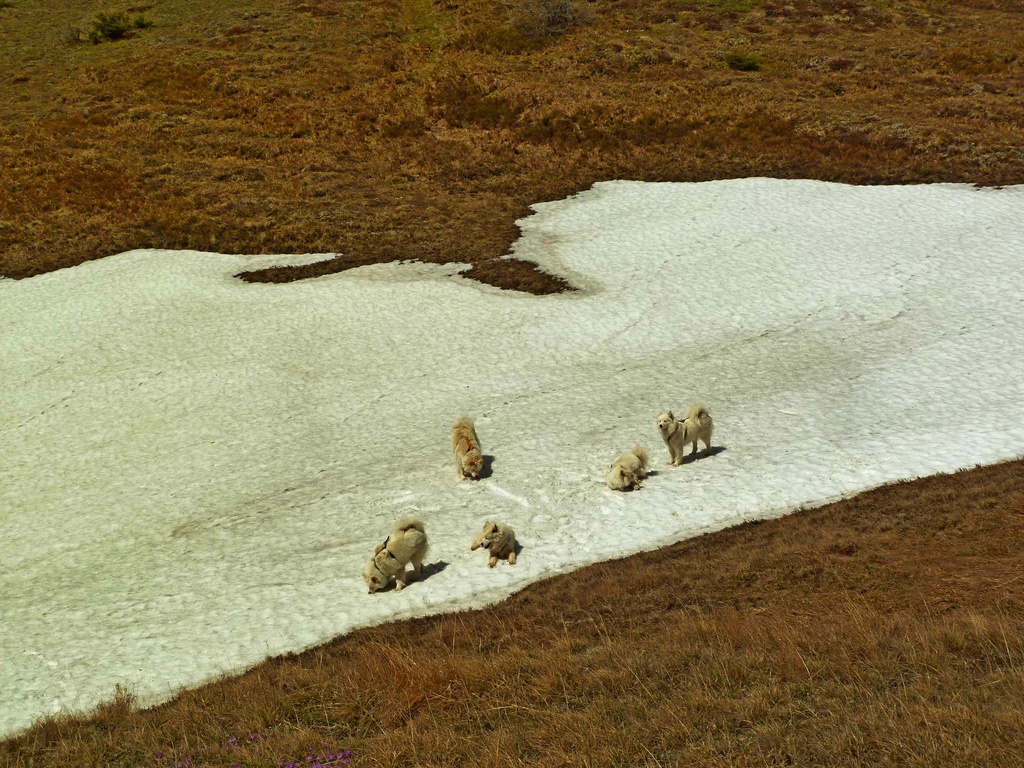 Schneegaudi gibts auch noch