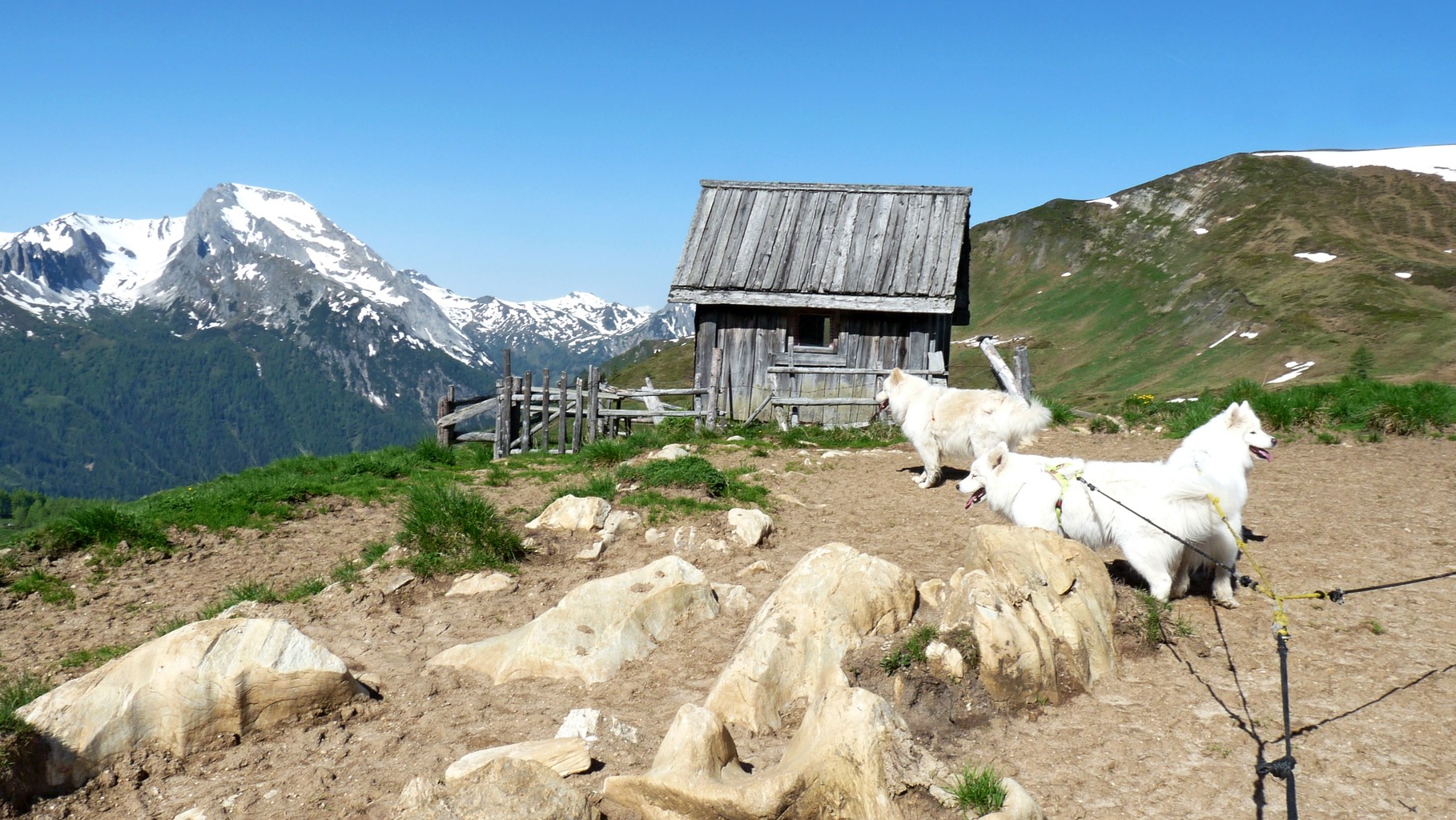 interessantes kleines Hütterl 