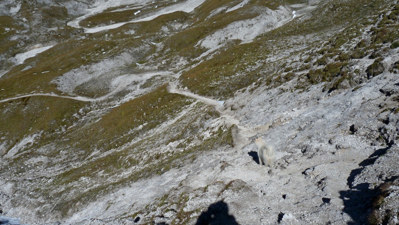 unser Abstieg zum Oberhüttensee