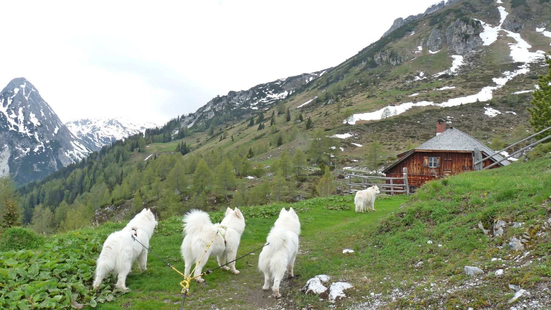 die Jakoberalm in Sicht