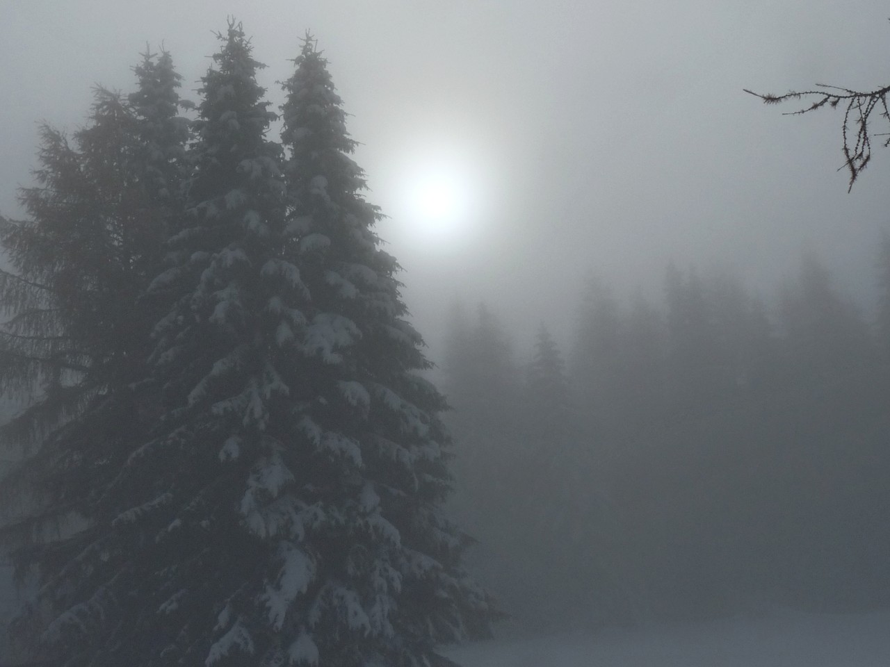 die Sonne schaut durch den Nebel