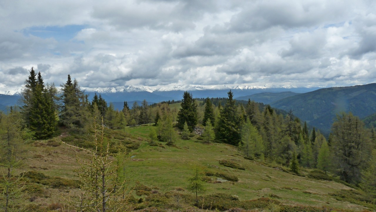 und im Hintergrund die Kette der Niederen Tauern
