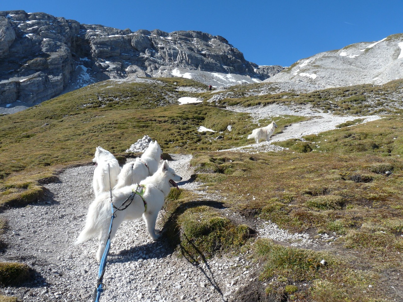 abwechselnd gehts übers Hochplateau