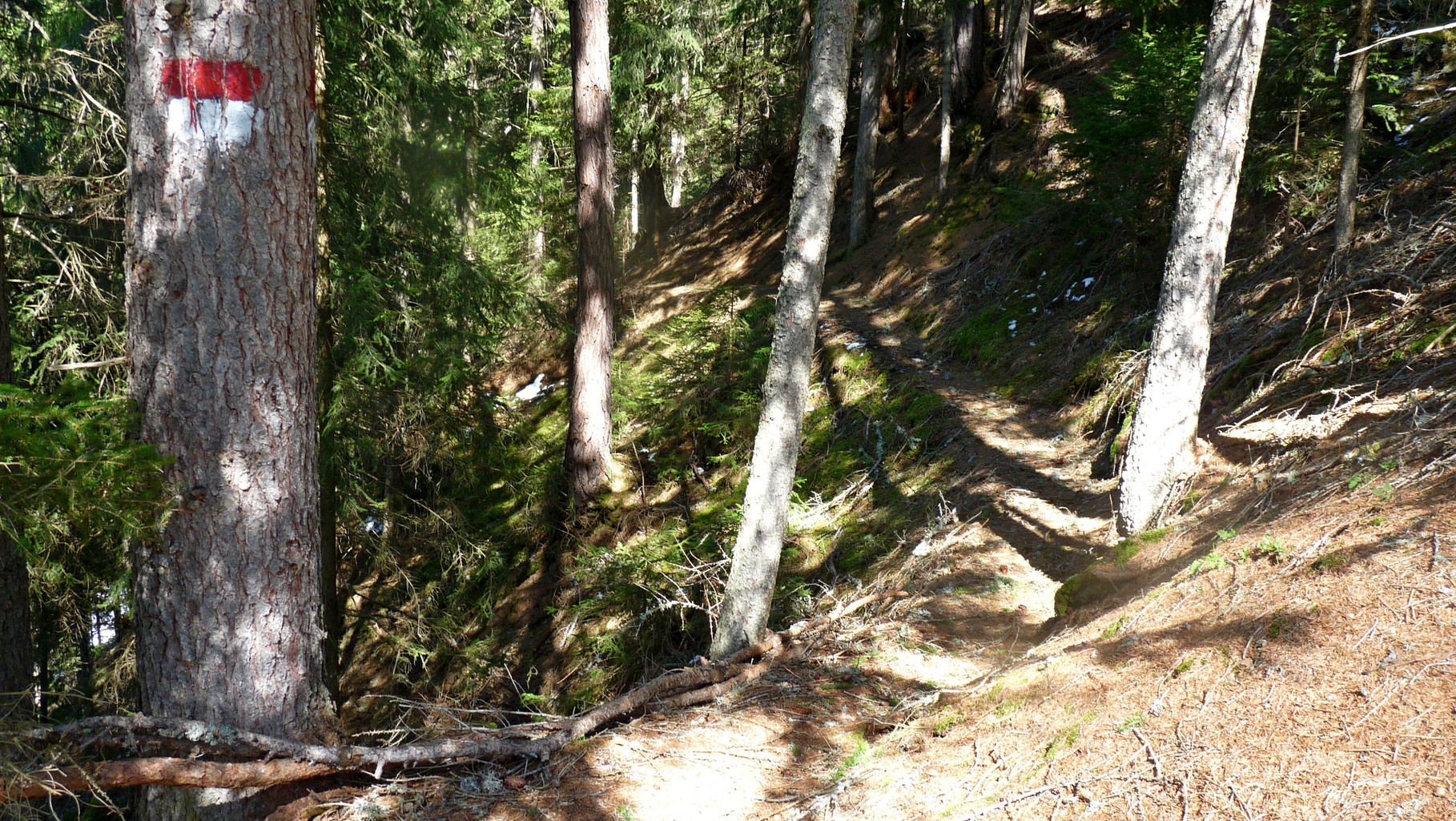 gut daß dieser Steig schnee - und eisfrei ist