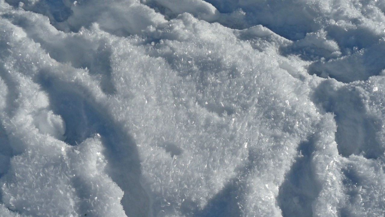 Eiskristalle unter unseren Füßen