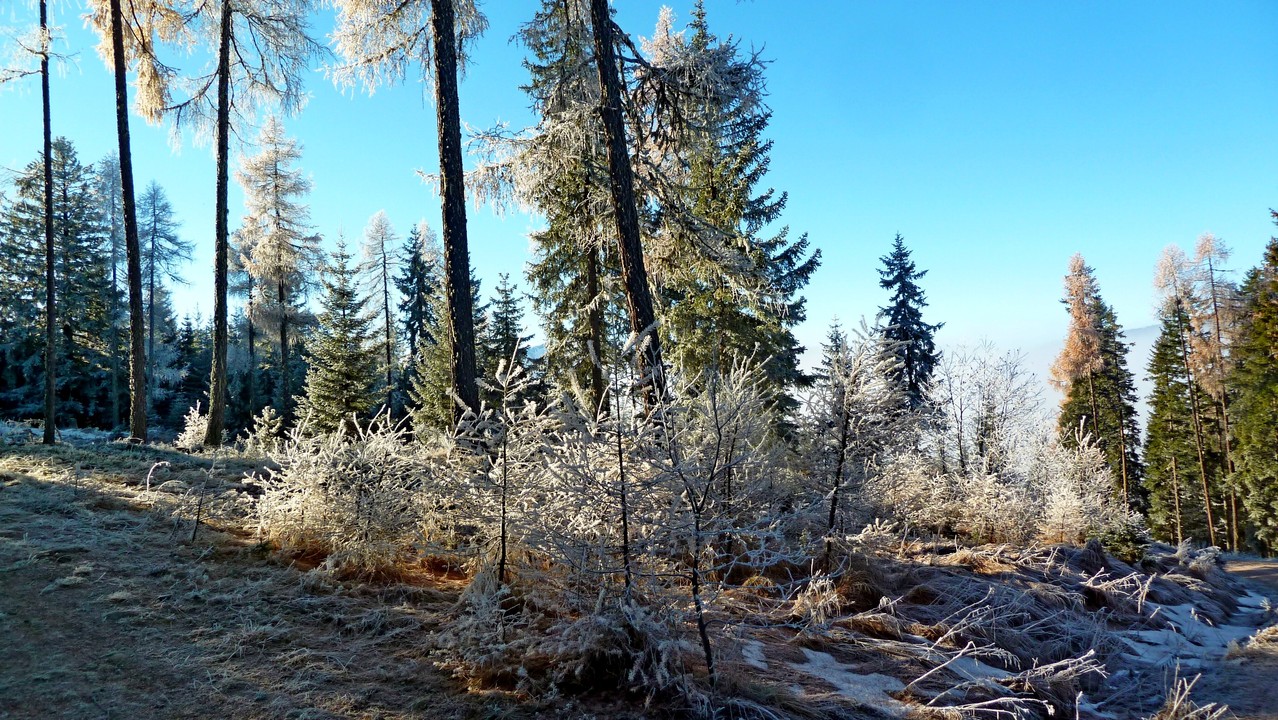 und hier - blauer Himmel