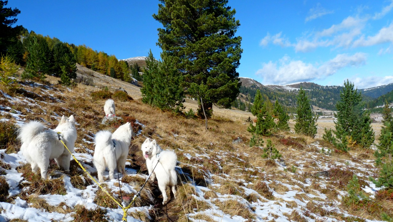 wir wandern weiter zur Mattehanshöhe