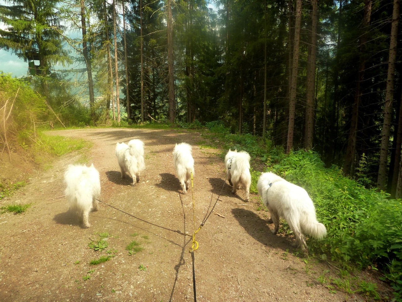 ab nach Hause