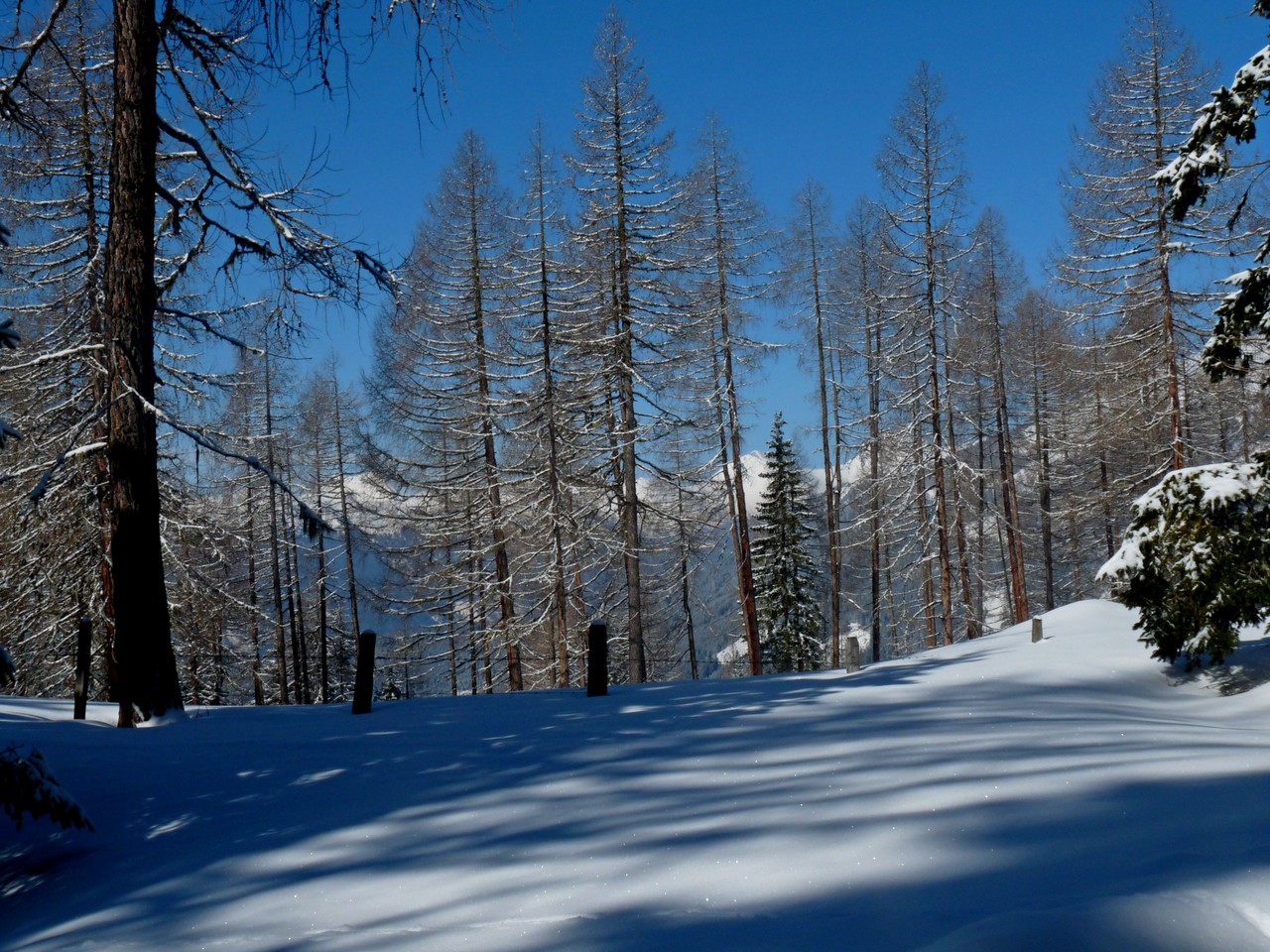 Blick ins Göriachtal
