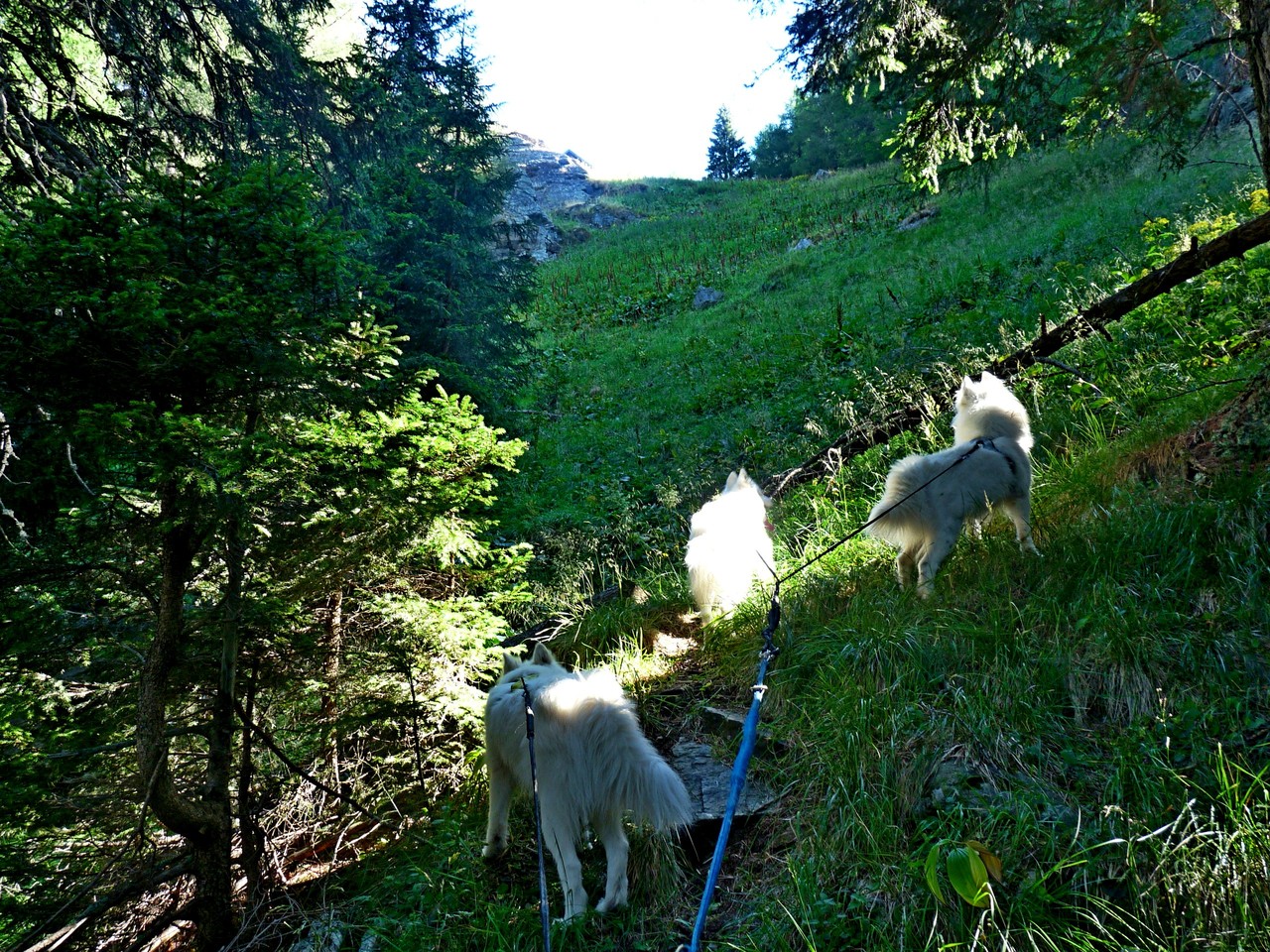 endlich ist unsere erste Etappe in Sicht, die JÄgerhütte