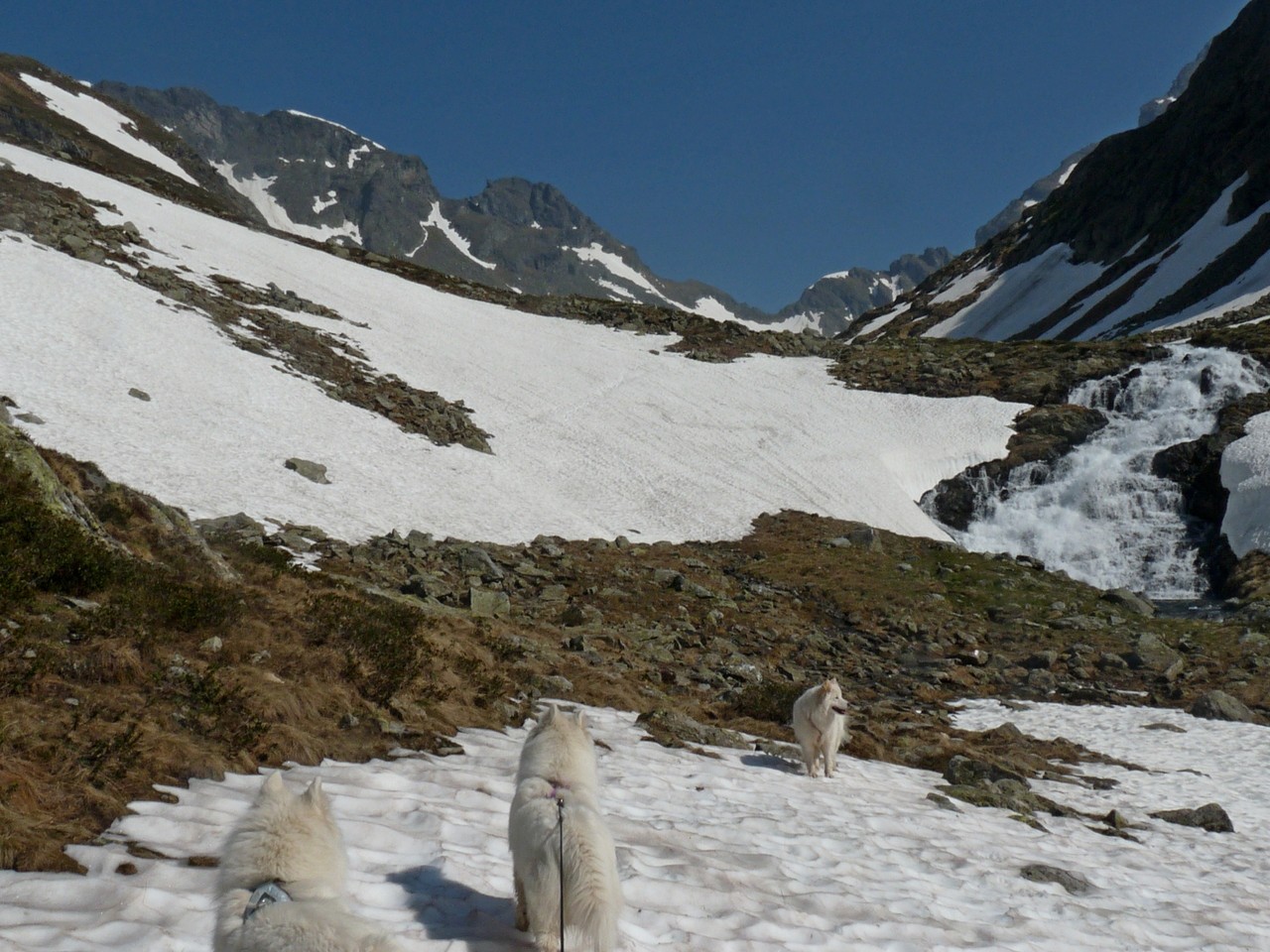 ein großes steil zum Wildbach abfallendes Altschneefeld bremste uns dann doch ein