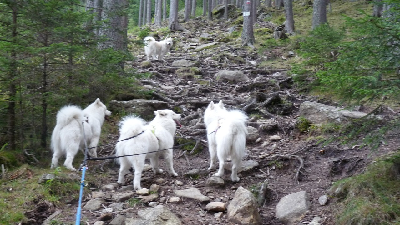 steil und steinig unser Weg