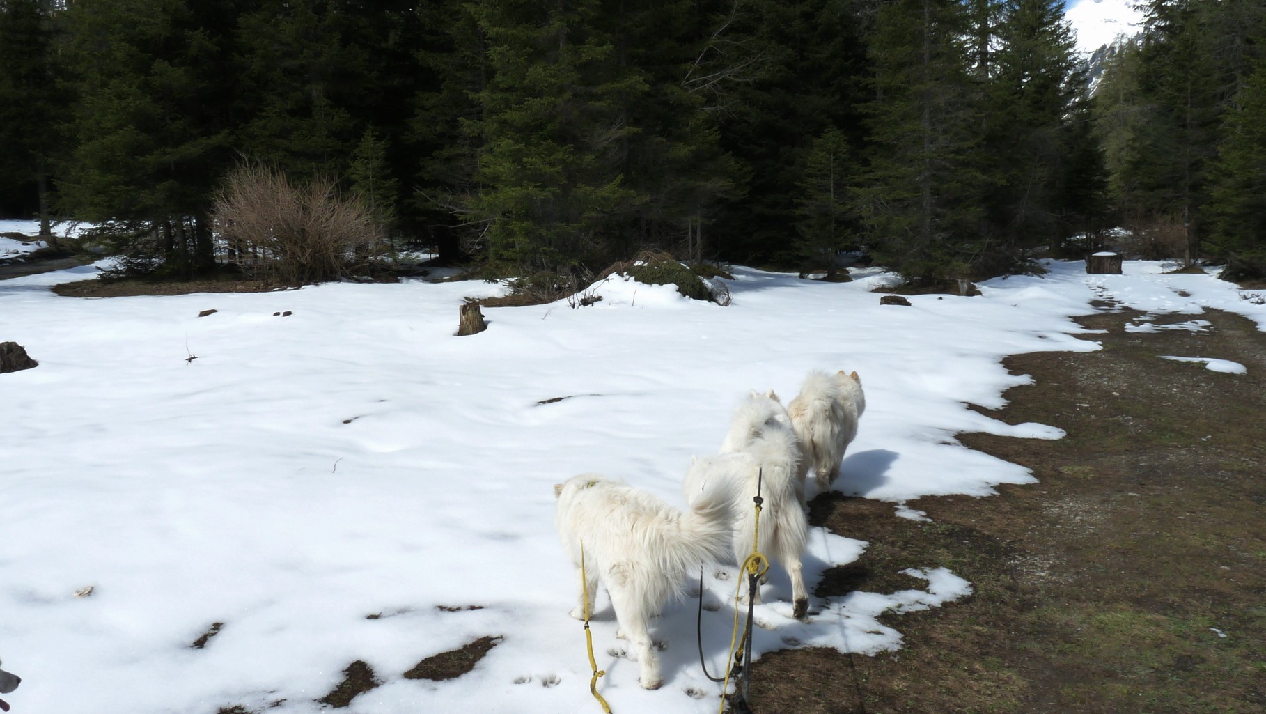 im Schnee gehts weiter