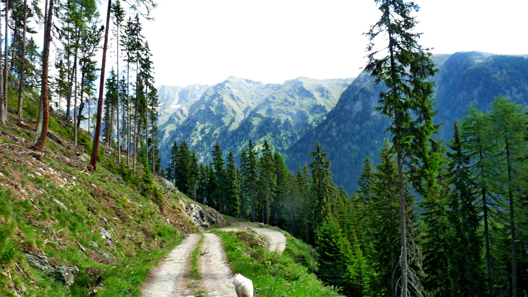 auf dem Runterweg schöne Blicke ins Lignitztal