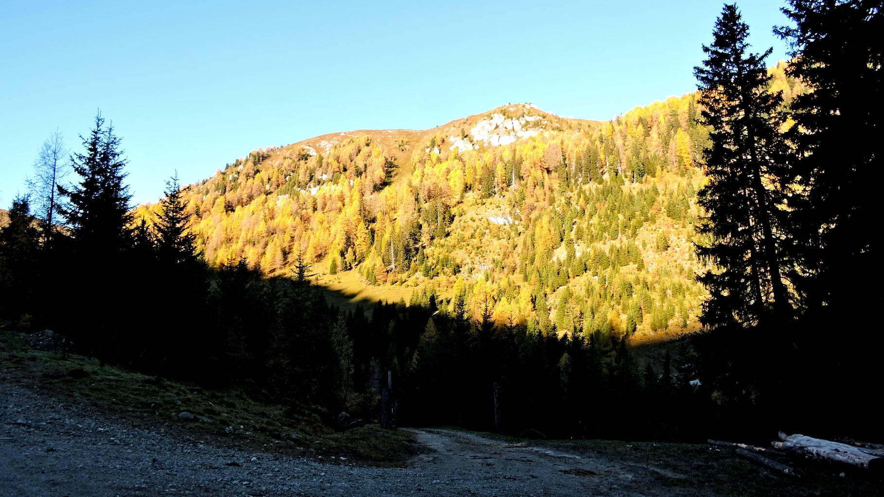 der Sonne entgegen