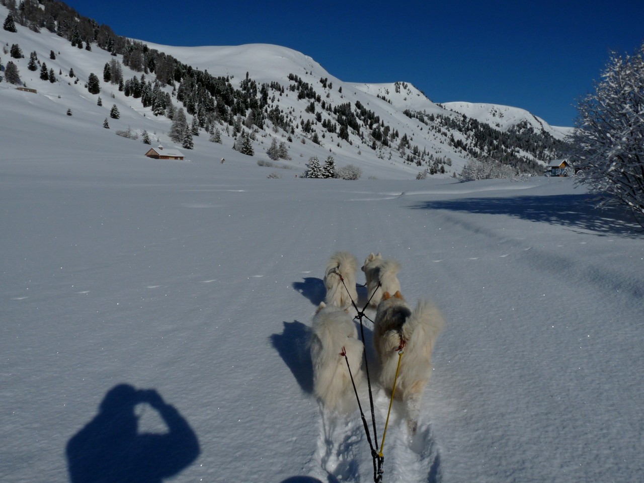 auf der Suche nach der Loipentrasse
