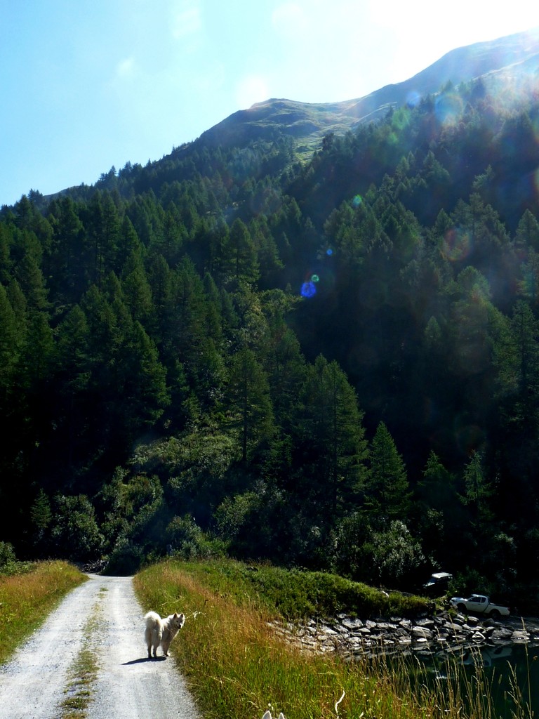 und wir müssen jetzt diese steile Seite bezwingen, auf gehts