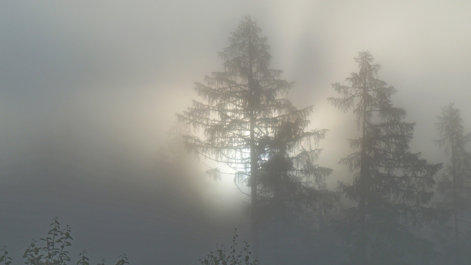 einfach wunderbar