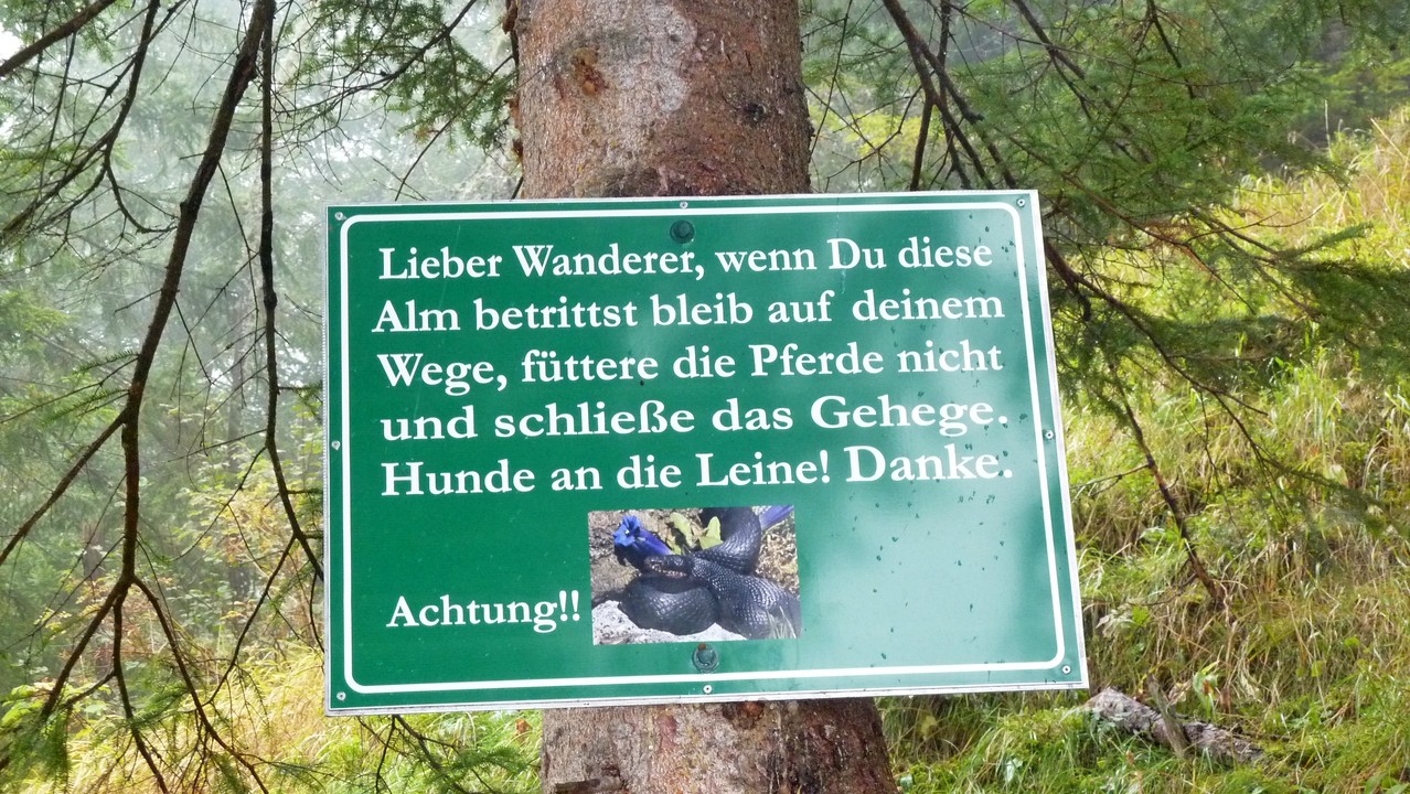 Pferde gibts jetzt keine mehr da oben
