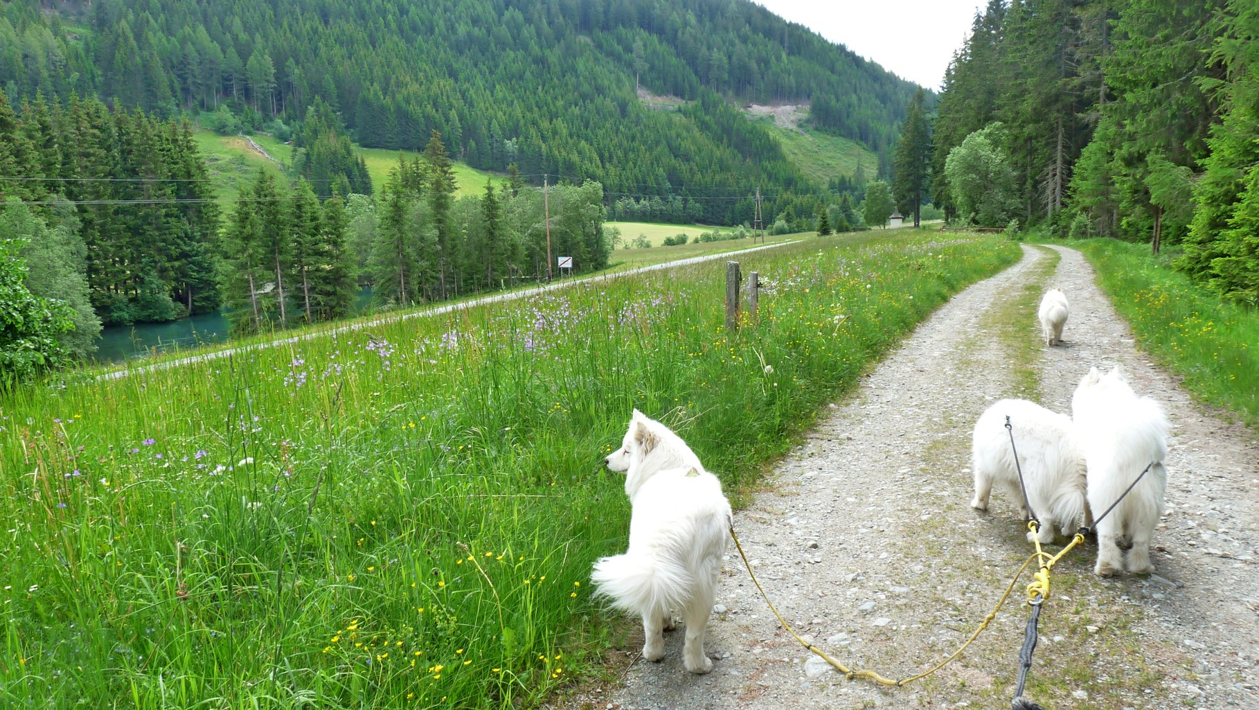 Runde fast geschlossen