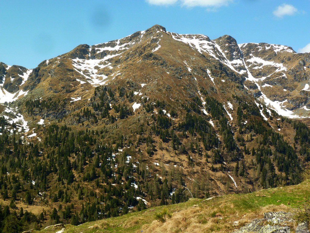 hinter uns der mächtige Eisenhut