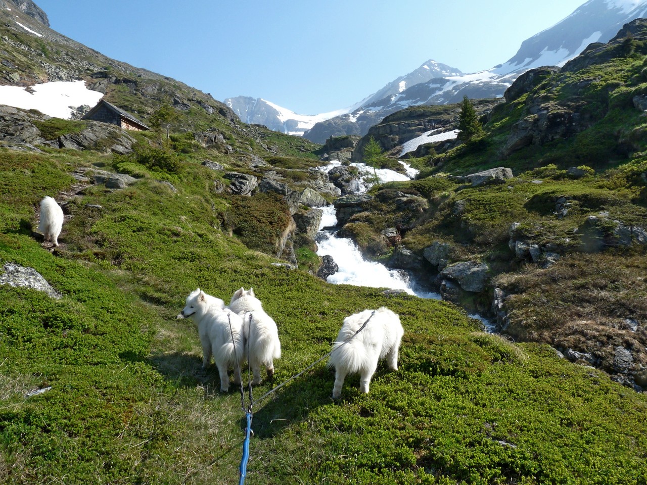 nach einer guten Stunde Steilaufstieg haben wir das Plateau oben erreicht
