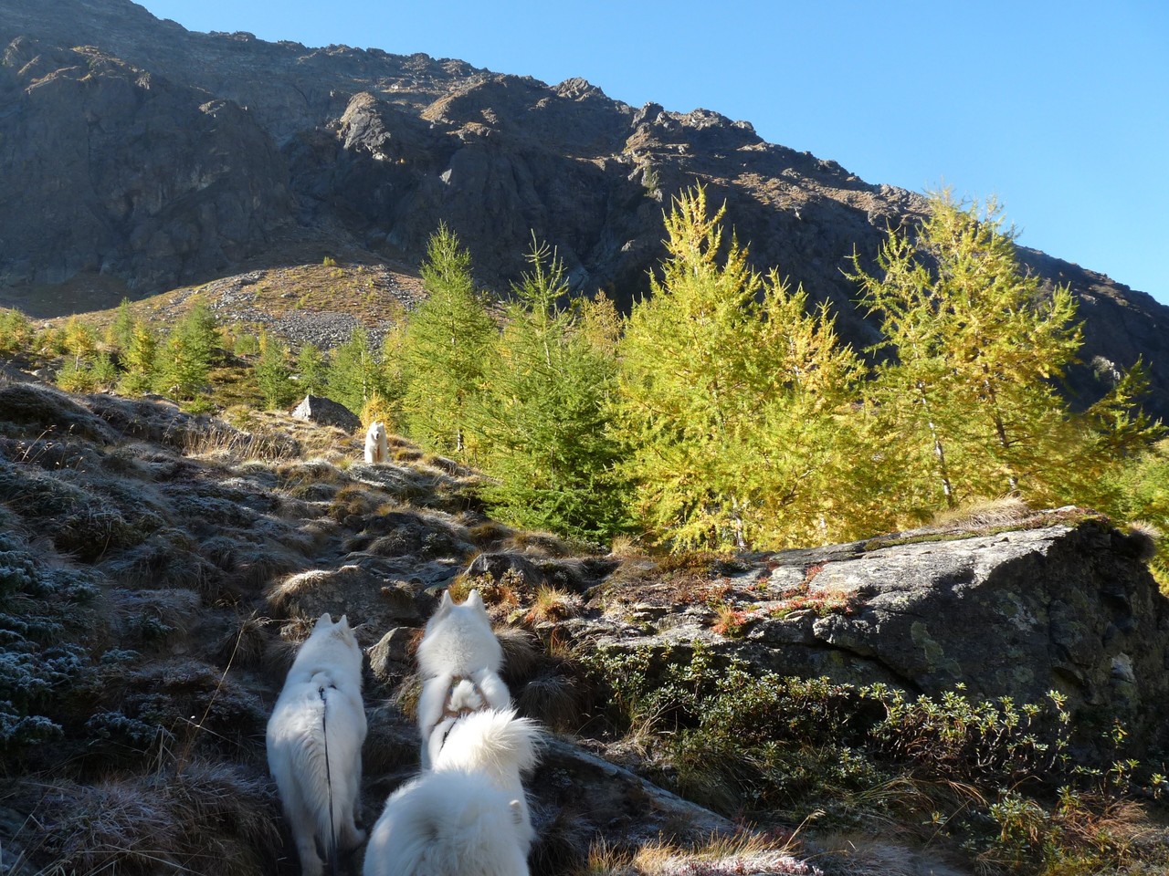 immer wieder schön, in den Niederen Tauern zu wandern