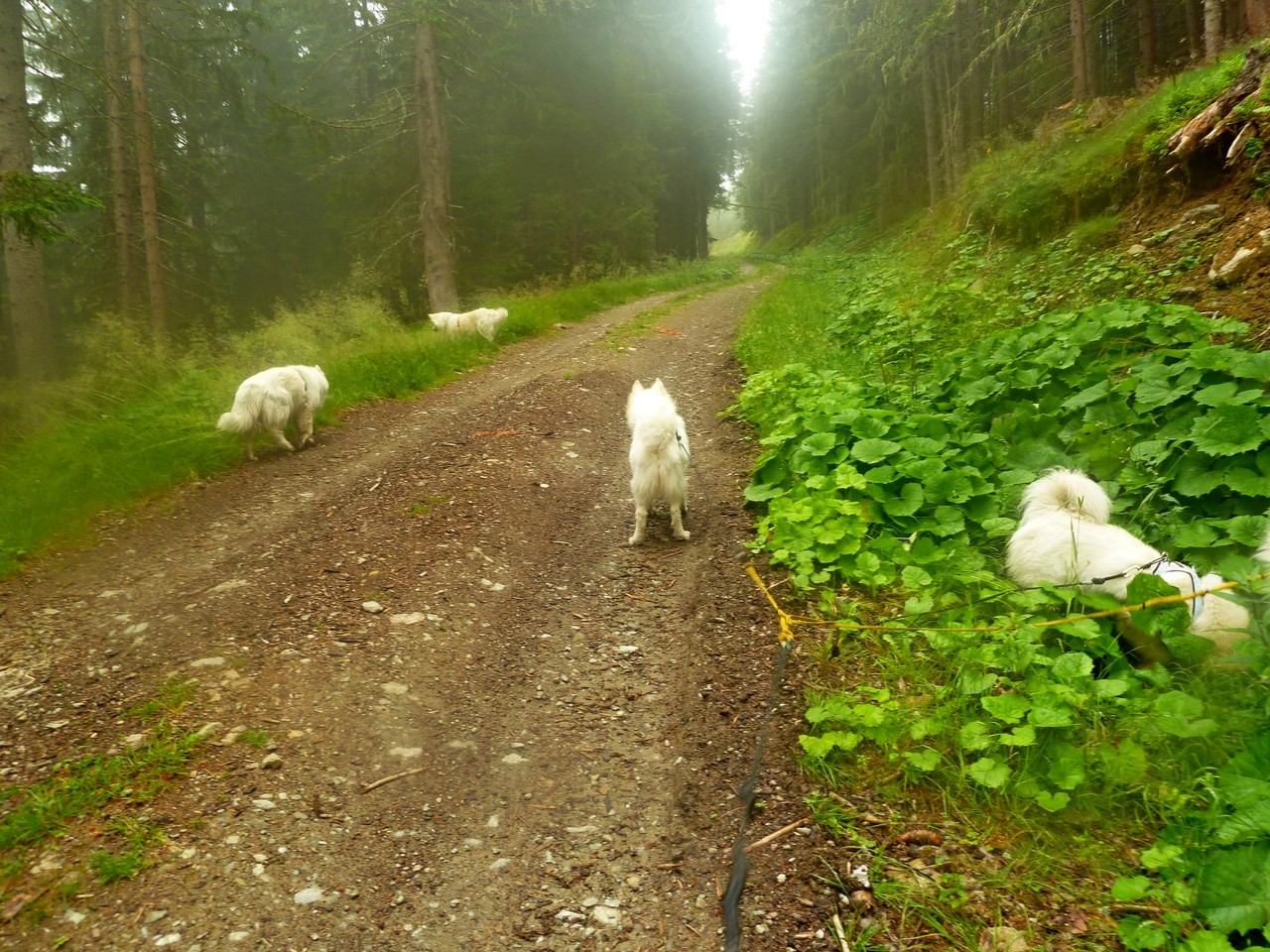 gemütlich wandern wir dahin