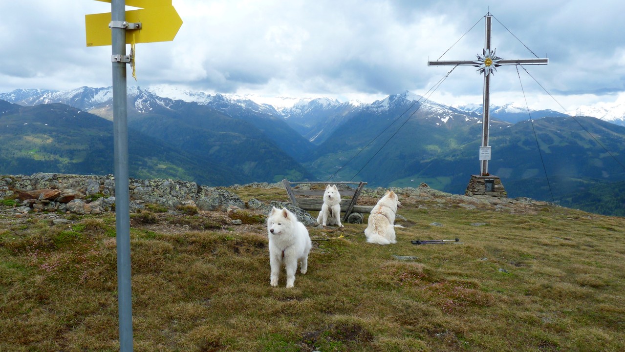 unser Weiterweg zum Schereck