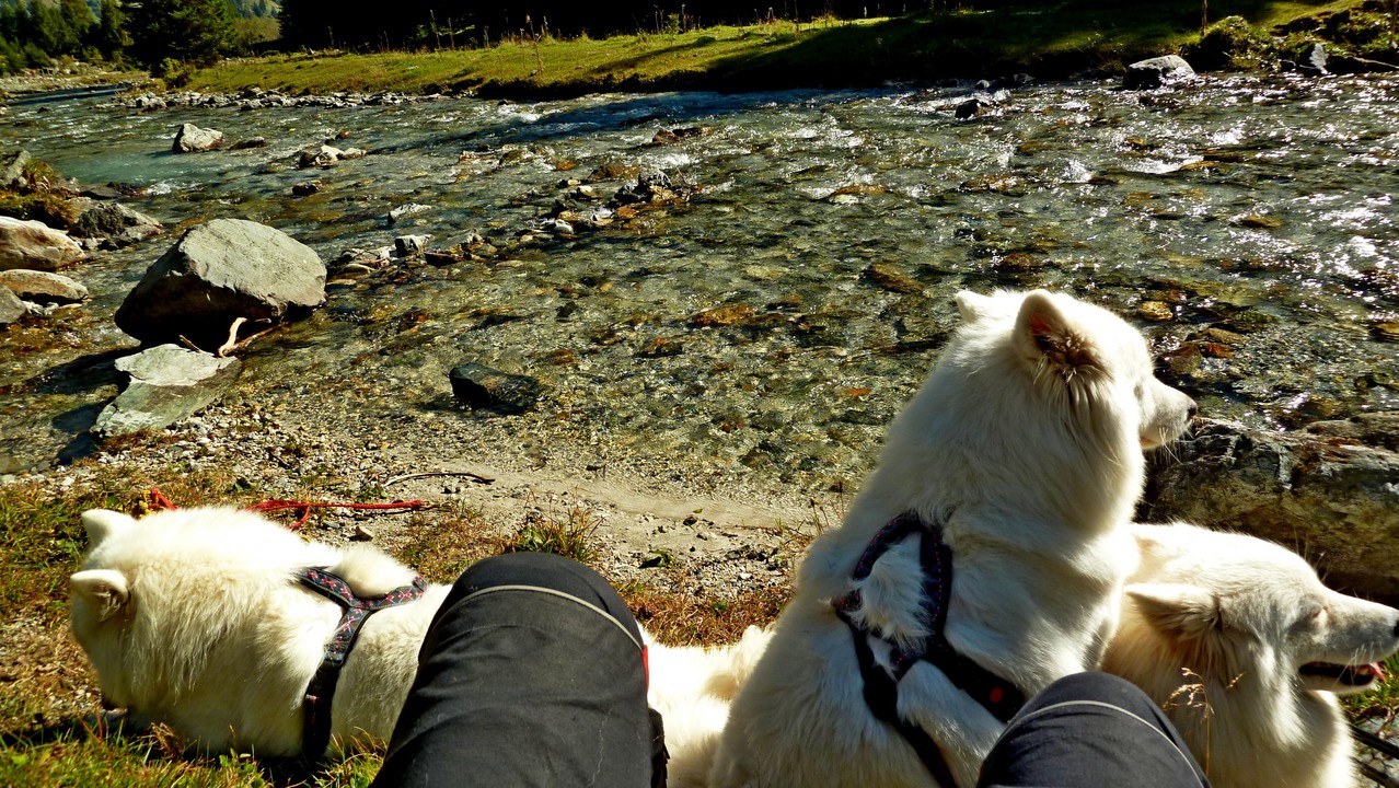 und an der Longa machen wir noch eine schöne Pause