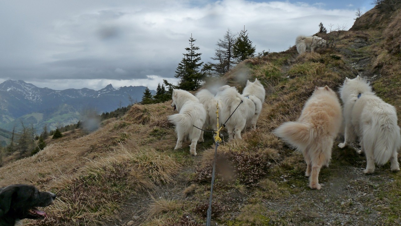 Gegen den Wind aufs Tschaneck
