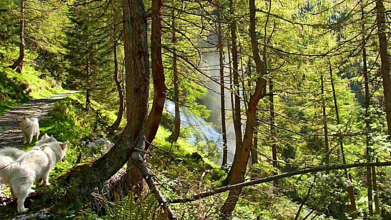 am Wasserfall "raucht" das Wasser