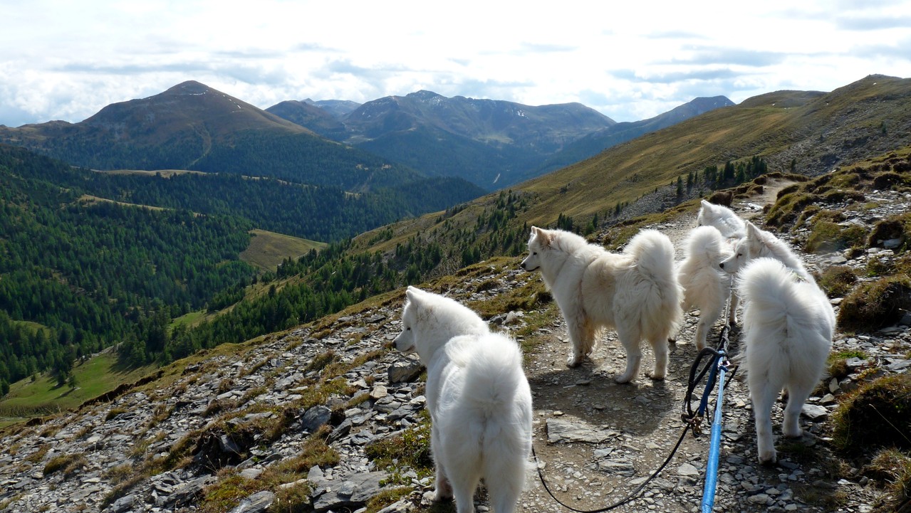 was wären die Berge ohne meine Fotomodelle :-)