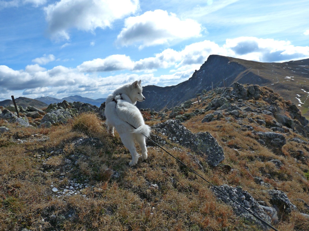 typische Haltung von San-Chi beim wandern, überall pfeifts und pfeifts.....