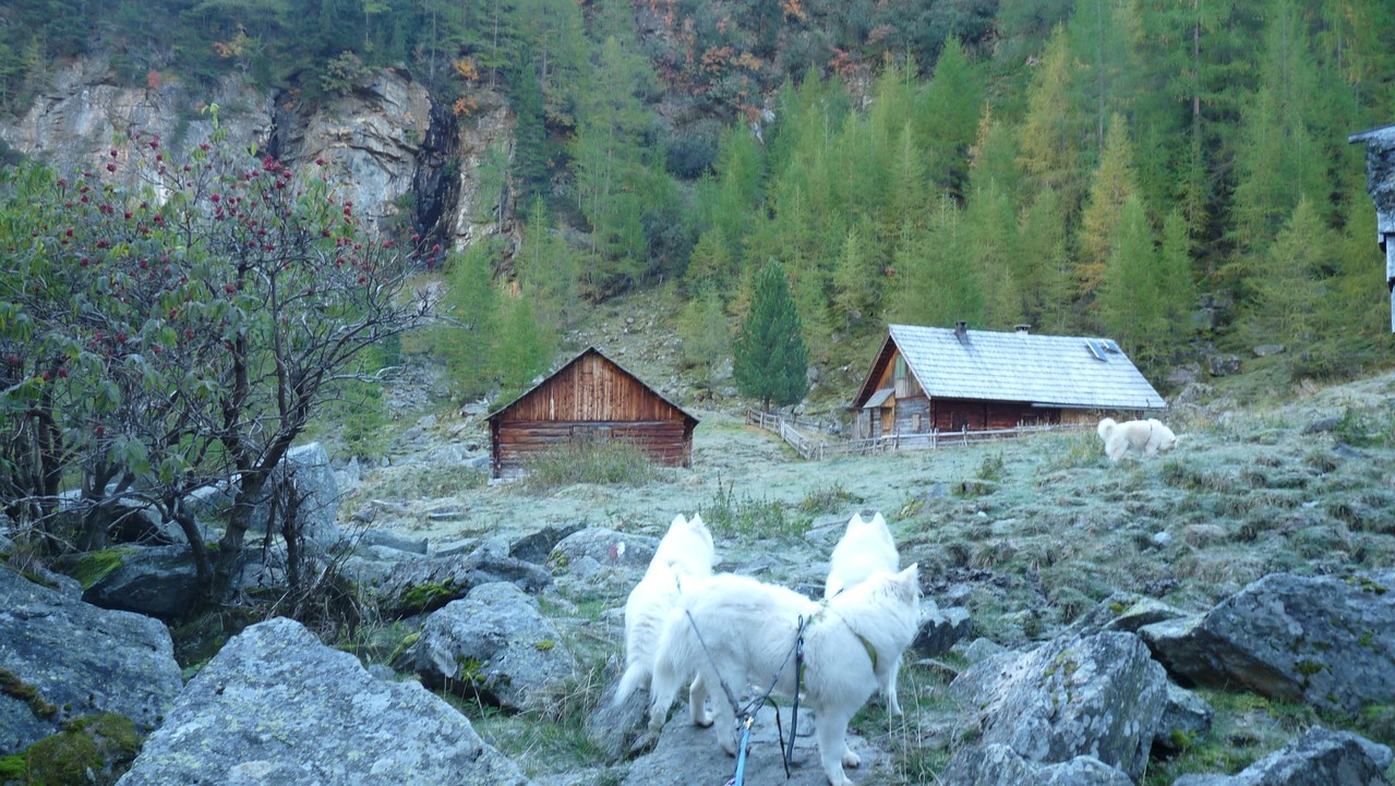 auf der Bacheralm