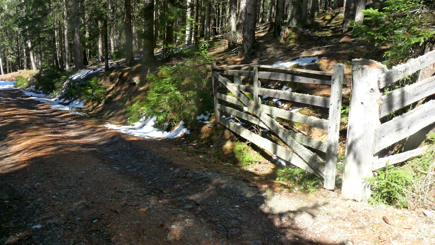 die Gatter sind im Sommer geschlossen, es gibt hier viel Waldweide