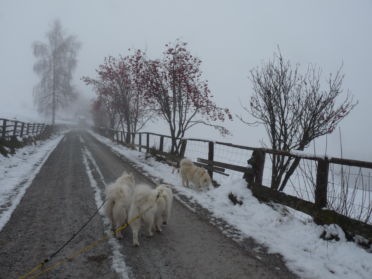 wir gehen auf die Suche nach der Sonne