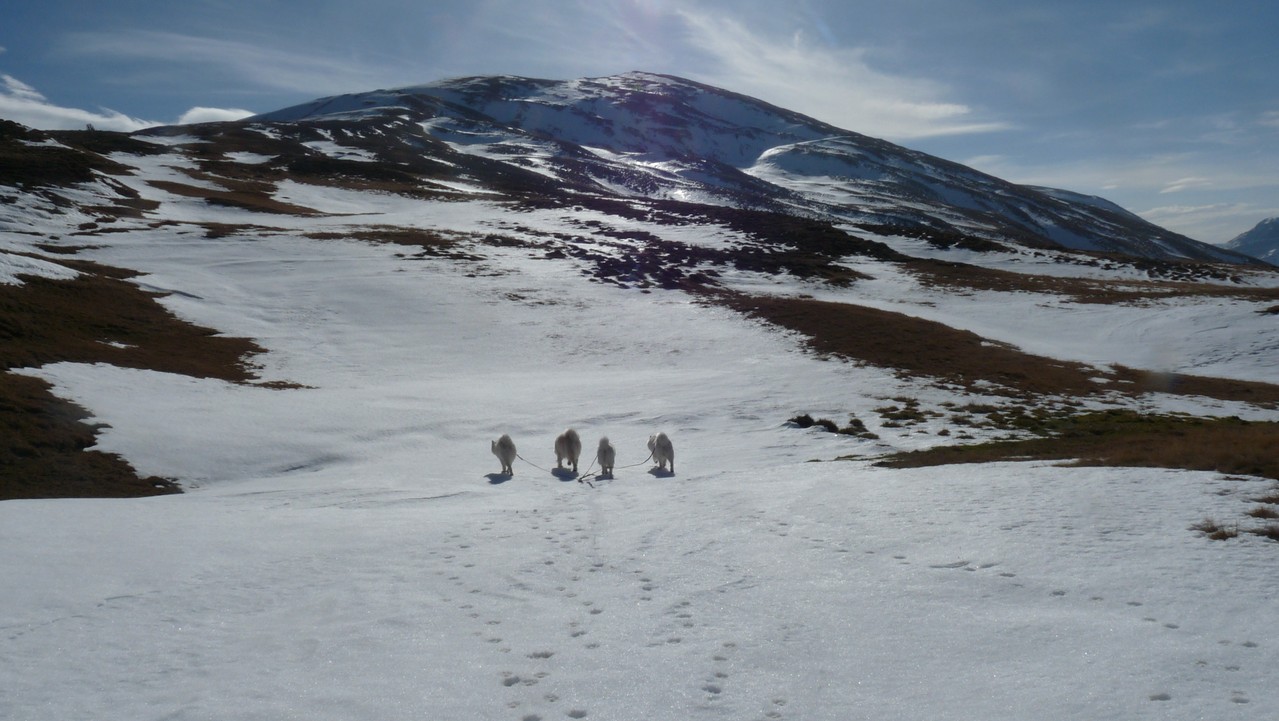 und noch ein bissi im Schnee tollen