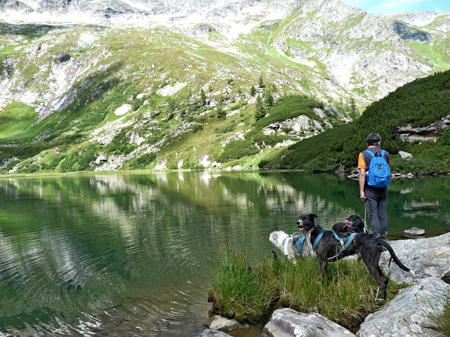 aber wir genießen jetzt die wunderbaren Farben im See